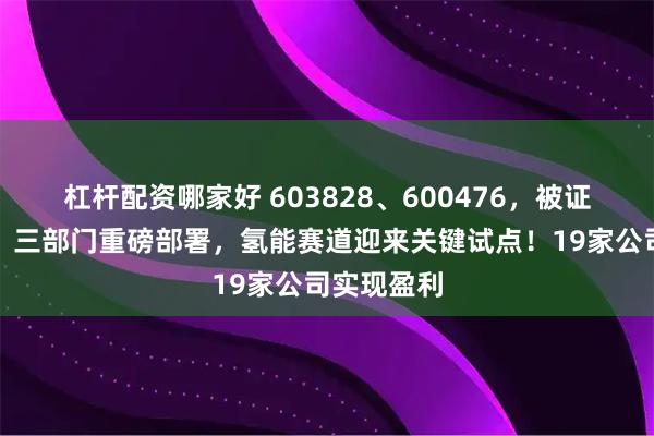杠杆配资哪家好 603828、600476，被证监会立案！三部门重磅部署，氢能赛道迎来关键试点！19家公司实现盈利